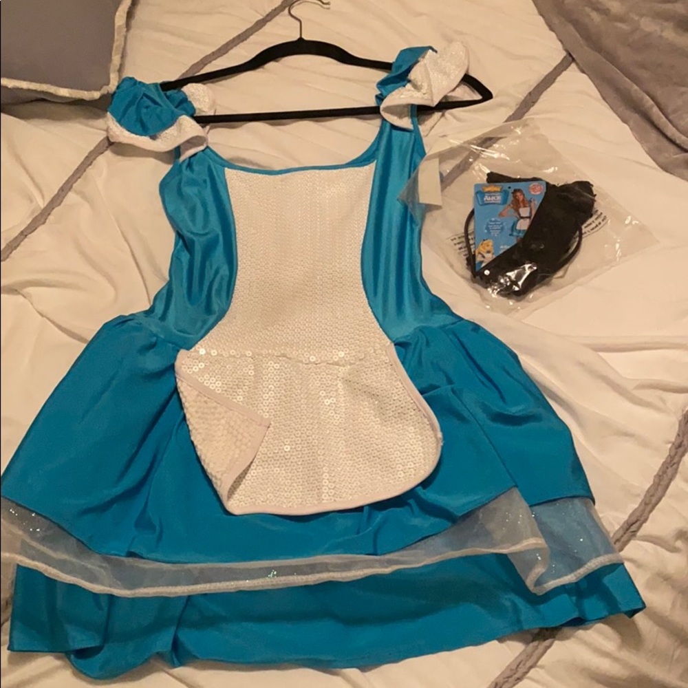 Alice and Wonderland Costume with accessories